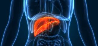 The hepatocellular carcinoma (hcc) is one of these tumors. Stage 4 Liver Cancer Stage Iv Cancer Horizons