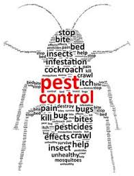 Exterminators after careful assessment and locating creatures, pests or rodents provide different possible suitable treatment plans to his client. 13 Insects Ideas Pest Control Insects Insect Control