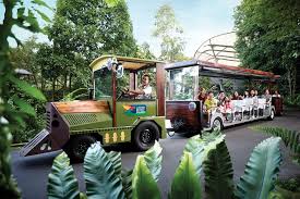 Buy jurong park tickets, the largest bird sanctuary in asia and connect with nature. Jurong Bird Park Admission Ticket 2021 Singapore