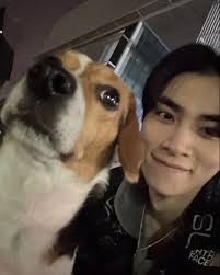 Louis Leon Bella Levi Coco Cookie (@louis.leon.bella.levi.coco) • Instagram  photos and videos