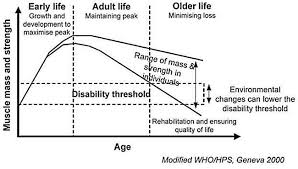 Muscle Loss With Age Figure 2 Health Research Muscle