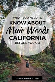 How Much Is Muir Woods Parking And Other Faqs California Travel California Travel Road Trips Muir Woods California