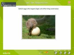We did not find results for: Cell Size Shape And Form Youtube