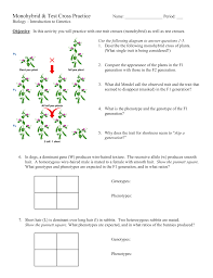 Show me that you understand how to predict the possible outcome of mono and dihybrid crosses using punnett squares. Monohybrid And Test Cross Practice Problems