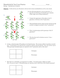 There are a few fundamental concepts of punnett squares that must be understood for them to predict correctly. Monohybrid And Test Cross Practice Problems