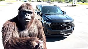 Bigfoot gets his first sale! @Chevrolet @General Motors #BrownDaubChevy  #sasquatch #bigfoot #Chevy #Chevrolet #Tahoe #Suburban #Silverado #Corvette