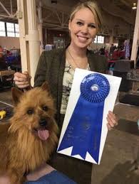 We did not find results for: 96 Australian Terrier Ideas Australian Terrier Terrier Silky Terrier