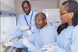 Kenya uses electric fences to protect forests from humans. Expert Kenya Should Be On High Alert Over Corona Virus College Of Health Sciences