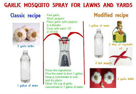 In general, mosquito repellents work by interfering with the female mosquito's ability to detect the environmental cues that she uses to find a host. Homemade Mosquito Yard Spray Is Cheap Effective And Easy To Do Mosquito Spray Mosquito Yard Spray Mosquito Repellent Spray