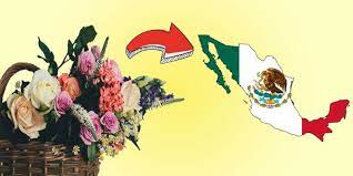 We did not find results for: How To Send Flowers To Mexico Everything You Should Know Send Flowers Flowers For You Mexican Flowers