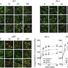 Check spelling or type a new query. Increasing Cell Cholesterol Reduces A Aggregate Binding To The Cell Download Scientific Diagram