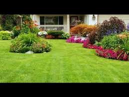 Landscape Design For Backyard