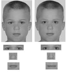 PDF] Holistic and part-based face recognition in children with autism.