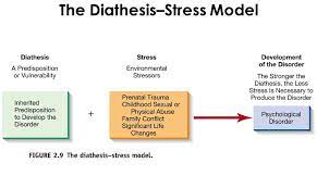 Schizophrenia A Diathesis Stress Approach A Tone Of My Own