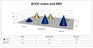 Image result for BODE Index