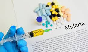 Známe několik druhů tohoto parazita (plasmodium falcipanum. Vedci Odhalili Slabinu Puvodce Malarie E15 Cz