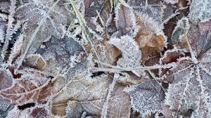 Die meist frische brise am meer. Wetter November 2018 Aktuell Wetter Im Februar 2018 Strenger Frost Zum Meteorologischen Fruhlingsbeginn News De