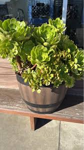 Happy Tuesday, EA Pub Family🍺 Today, 11/19, is our second Holiday Pop Up  Shop night. 5-7pm, come visit and support some of your pub locals, and  their side gigs. Happy hour beer