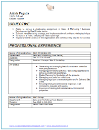 Resume Samples For 2 Years Experience For 2021 Printable And Downloadable Cust