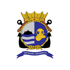 Embleem Defensie Duikgroep | Emblemen van de krijgsmacht | Defensie.nl