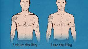 Study shows it takes much longer to regain lost power Bulking Set Point And Muscle Memory Bony To Beastly