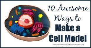 Check spelling or type a new query. 10 Awesome Ways To Make A Cell Model Weird Unsocialized Homeschoolers