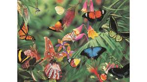 Showing 26 out of 66 products. Buy Blue Opal Wild Australia Butterflies Beetles 100 Piece Jigsaw Puzzle Harvey Norman Au