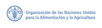 Our actions are our future. Fao Honduras