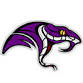 Space Coast Vipers vs Rockledge Raiders event image