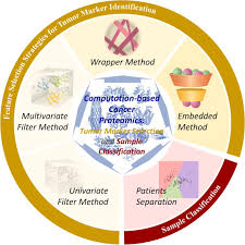 This was the fastest ive done, for nowthis is 3x speed if you wonderedleave a like if. Computational Advances Of Tumor Marker Selection And Sample Classification In Cancer Proteomics Sciencedirect