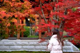 Maybe you would like to learn more about one of these? Mengenal 4 Musim Di Jepang Sukajepang Com