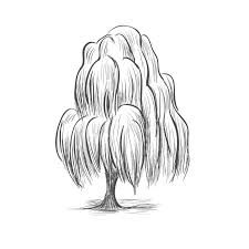 Check spelling or type a new query. Willow Tree Silhouette Stock Illustrations 1 269 Willow Tree Silhouette Stock Illustrations Vectors Clipart Dreamstime