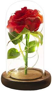 Amazon Com Urbanseasons Beauty And The Beast Rose Red Silk Rose That Lasts Forever In A Glass Dome With Led Lights Gift For Mothers Day Valentine S Day Wedding Anniversary