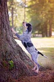 It's where meals are shared and warm conversation takes place. Steven Rozell Sdfro Profile Pinterest