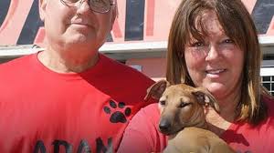 Bargain-Loving Brits in the Sun (TV Series 2016– )