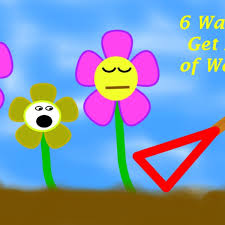 Can you smother the weeds and build above? How To Kill Weeds 6 Ways To Get Rid Of Them Dengarden