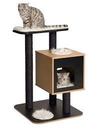 Cats Are Demanding Creatures And So Are Cat Lovers