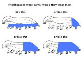 William Gibson Greatdismal Tardigrade Dog Wear My Spirit Animal