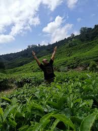 Ia perlu dirancang dengan teliti untuk elakkan masalah. 7 Tips Bercuti Ke Cameron Highland Ketika Cuti Sekolah Abang Kacak