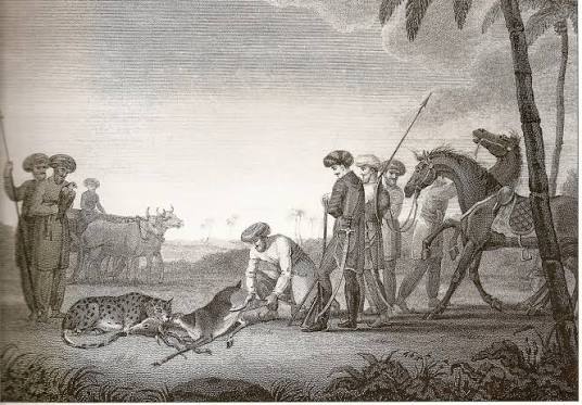 Hunting by cheetah - Wikipedia
