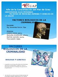 Alexieduardo170 está esperando tu ayuda. Factores Biologicos De La Criminalidad Diapo Gemelo Herencia