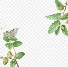 Green Oak Leaves Frame Png Design Space Free Image By Rawpixel Com Pam Green Oaks Green Frame Oak Leaves