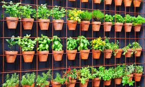 We did not find results for: Create A Vertical Vegetable Garden