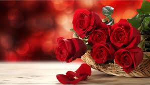 La rosa rossa è per eccellenza il simbolo dell'amore, della devozione. Il Mazzo Di Fiori Giusto Per Ogni Occasione Ed Anniversario