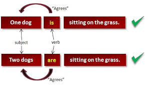 subject verb agreement