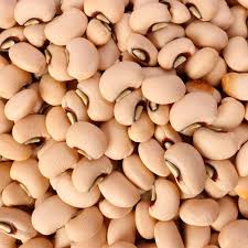 Image result for Phaseolus lunatus