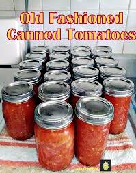 Old Fashioned Canned Tomatoes A Great Easy Tutorial Recipe So You Can Capture The Taste Of Summ Canning Recipes Canning Vegetables Canning Food Preservation