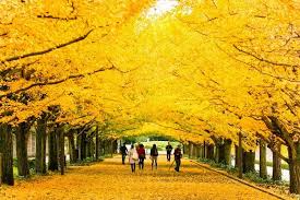 Giá vé máy bay sẽ càng rẻ nếu bạn mua vé càng. Nháº­t Báº£n Chá» Toi Nhe Nihon Omachikudasai