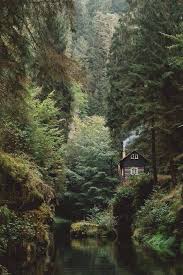 Cabin House In Hidden Forest Woods Magical Places The Great Outdoors Outdoor Nature