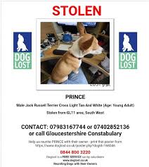 This moving prayer, called simply prayer for a lost pet, asks the help of st. Oyo5ijar J9vdm